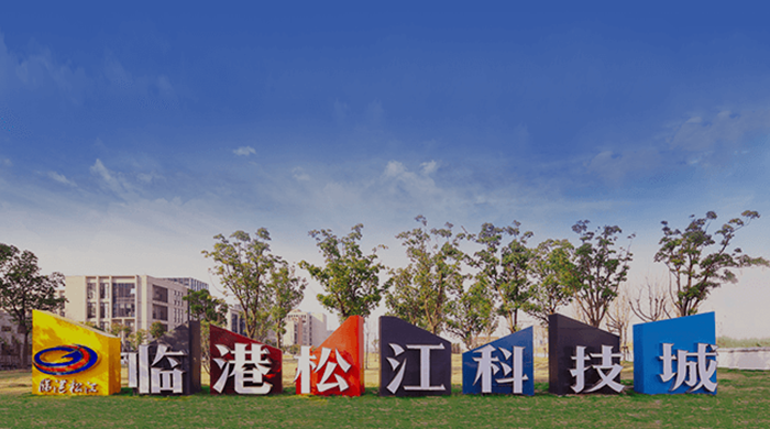 P020190131401903945066